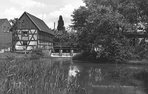 Senftenberg